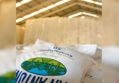 Sector Azucarero supera metas de producción 2016-2017