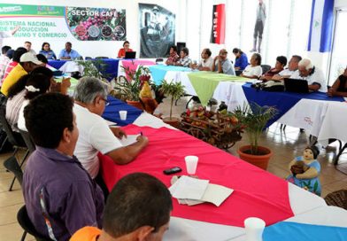 gobierno, sandinista, presenta, plan, nacional, productivo, ciclo, 20