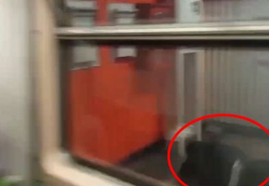México fue escenario de un sorprendente acto que fue publicado en Facebook, donde los usuarios de la Línea del tren aparecen lanzándose a las estaciones, cuando el vehículo estaba en movimiento.