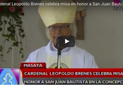 Cardenal126jn