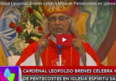 CardenalBrenes05Jn