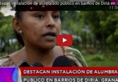 Diria