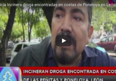 DrogaLeon