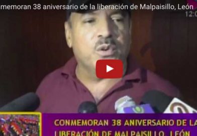 Malpaisillo