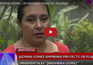 Vivero21Jn