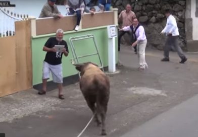 Quería grabar un encierro con su iPad, pero un toro bravo no se lo permitió