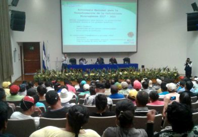 Gobierno Sandinista presenta Estrategia Nacional para la transformación de la caficultura