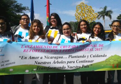 Caminan en Amor a la Madre Naturaleza