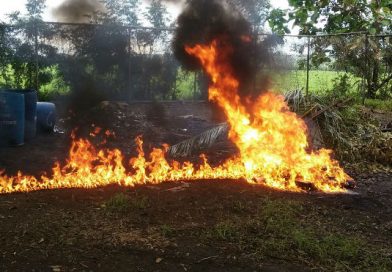 Policía Nacional incinera cocaína encontrada en costas de Poneloya