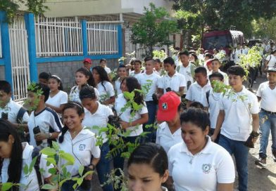 MINED realiza jornada de arborización en Cerro Mokorón