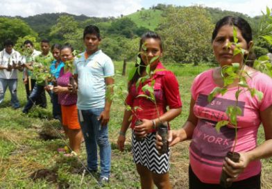 En Chinandega realizan el lanzamiento del programa "Cortinas Rompevientos"