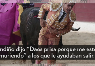junio50 torero muere