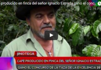 Café producido en finca del señor Ignacio Estrada ganó el concurso de la taza de la excelencia 2017