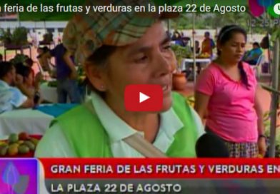 Gran feria de las frutas y verduras en la plaza 22 de Agosto