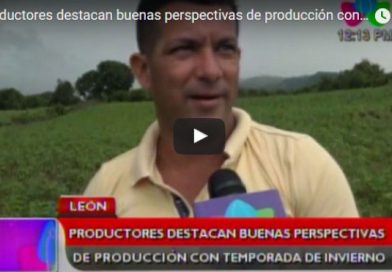 Productores destacan buenas perspectivas de producción con temporada de invierno
