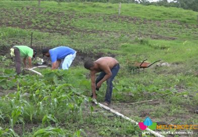 Ministerio de Economía Familiar instala sistema de riego en San Juan del Sur