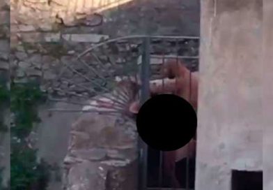 Pareja tiene s3x0 en la calle durante marcha gay en Roma