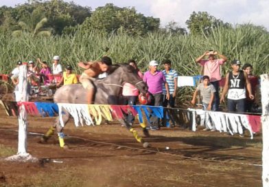 Viejanos desarrollan tradicionales carreras de caballos en honor a San Juan