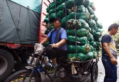 4 muertos por la peor ola de calor en Shanghai en 145 años