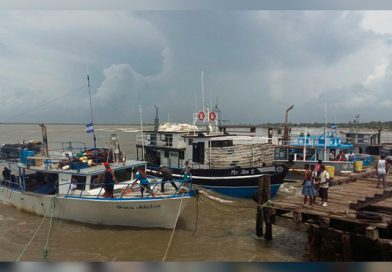 Inicia la temporada de captura de Langosta en la costa Caribe