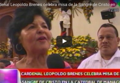 Cardenal03Jl