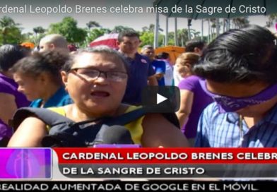 Cardenal10Jl