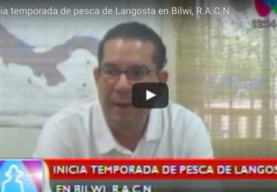 Langosta03Jl