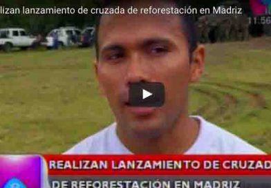 Reforestacion07Jl
