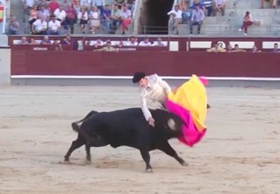 (+Video) Un toro furioso cornea a un torero en el escroto y hiere de gravedad a otro