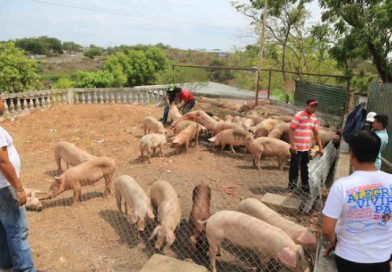 Mefcca Lanza el bono comercial del Programa Productivo Alimentario en Nindirí