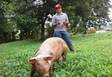 Nueva Guinea: Familias de Zelaya Central reciben Bono Productivo Alimentario