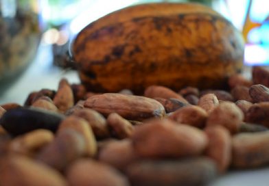 Realizan Feria Nacional del Cacao “Origen y Tradición” en Granada