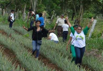 Nueva Guinea: Inafor y movimientos ambientalistas realizan caminata ecológica