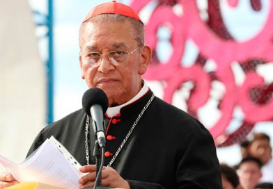 Cardenal Miguel: Debemos seguir trabajando para conseguir siempre la Paz