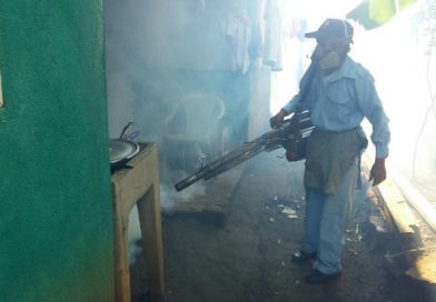 Combaten a zancudos con fumigación en barrio Casimiro Sotelo