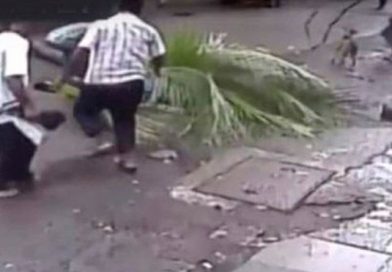 Famosa conductora muere aplastada por una palmera