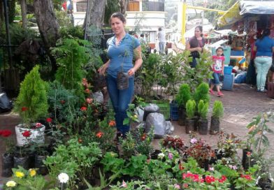 Familias matagalpinas participan en feria municipal de plantas medicinales