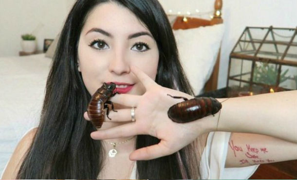 Una joven sorprende al mundo por tener cucarachas gigantes como mascotas
