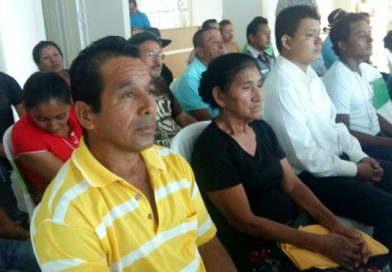 INTA y China Taiwán desarrollan Taller Internacional sobre el cultivo de bambú