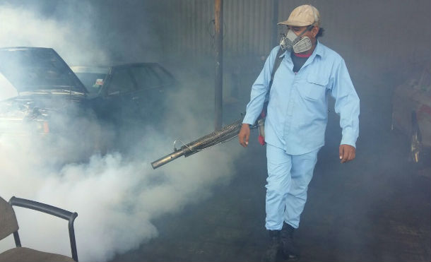 intensfumiga1