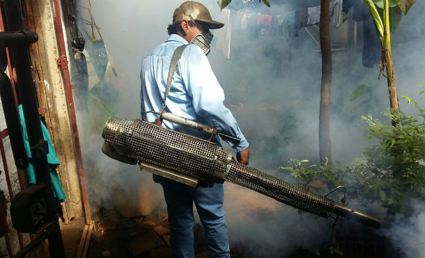intensfumiga3