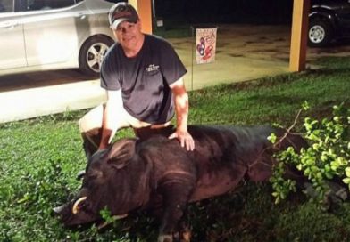 Mató a un jabalí de 372 kilos que apareció en la puerta de su casa