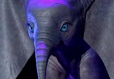 julio28 dumbo pelicula