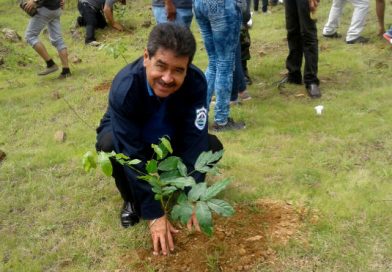 Madriz realiza el lanzamiento de la cruzada nacional de reforestación