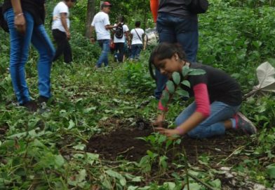 Realizan el lanzamiento de la jornada nacional de reforestación en Masaya