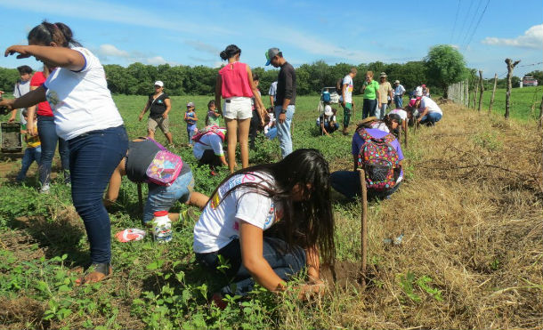 reforestacion2