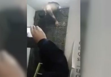 El intento de fuga fallido de un reo en Argentina