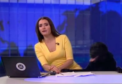 (+Vídeo) Perro se mete a set de televisión en pleno programa en vivo