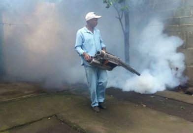 Sin tregua a los mosquitos en esta temporada de lluvia