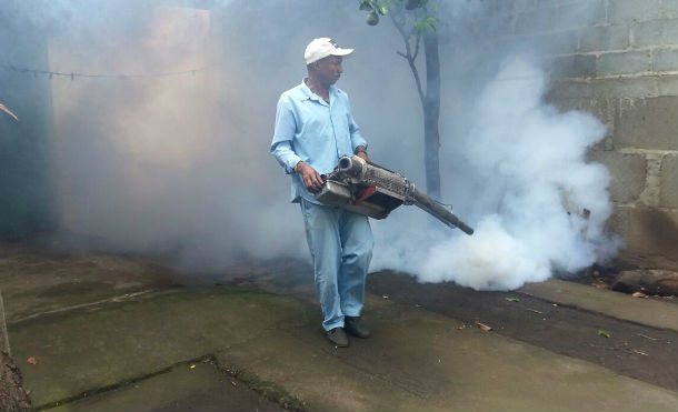 Sin tregua a los mosquitos en esta temporada de lluvia